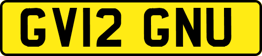 GV12GNU