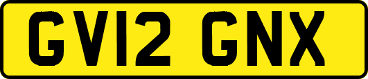 GV12GNX
