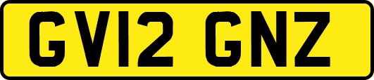 GV12GNZ