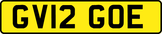 GV12GOE