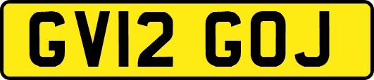 GV12GOJ