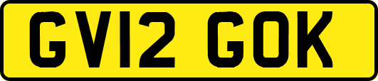 GV12GOK