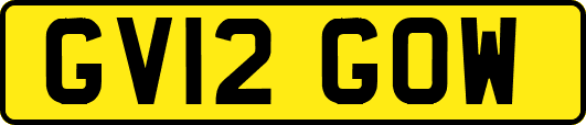 GV12GOW