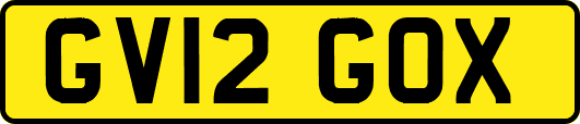 GV12GOX
