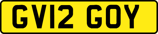 GV12GOY