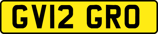 GV12GRO
