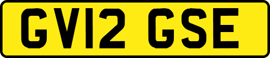 GV12GSE