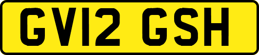 GV12GSH