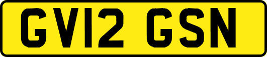 GV12GSN
