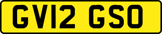 GV12GSO