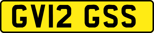 GV12GSS