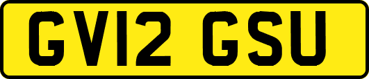 GV12GSU