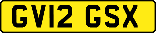 GV12GSX