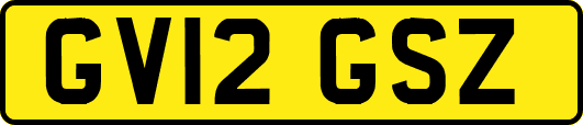 GV12GSZ