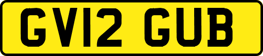 GV12GUB