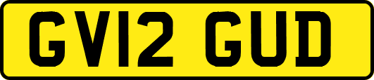 GV12GUD