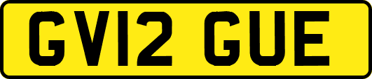GV12GUE