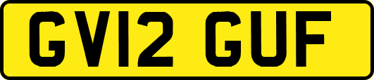 GV12GUF