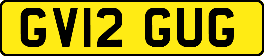 GV12GUG