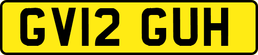 GV12GUH