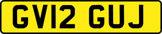 GV12GUJ