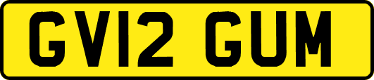 GV12GUM