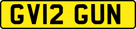 GV12GUN
