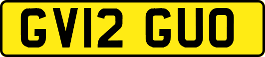 GV12GUO