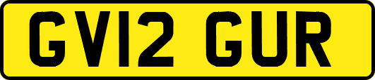 GV12GUR
