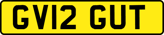 GV12GUT