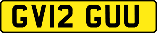 GV12GUU