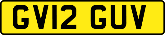 GV12GUV