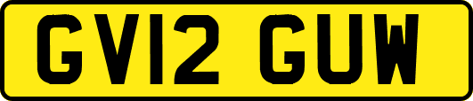 GV12GUW
