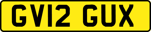 GV12GUX