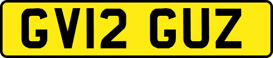 GV12GUZ