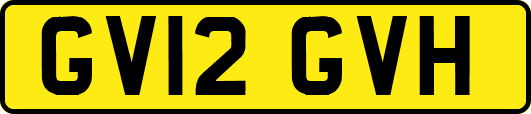 GV12GVH