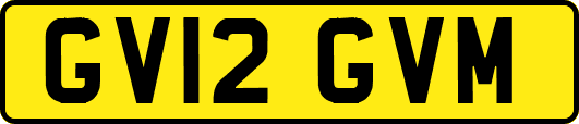 GV12GVM