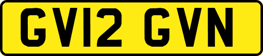 GV12GVN