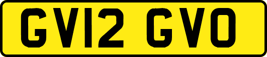 GV12GVO
