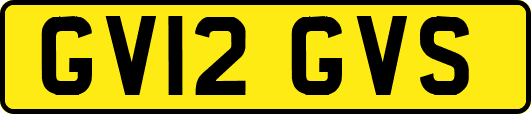GV12GVS