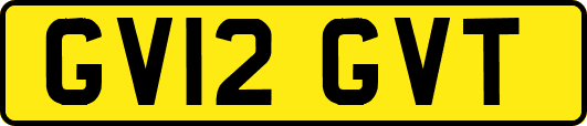 GV12GVT