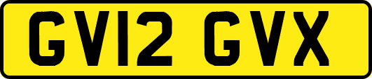 GV12GVX