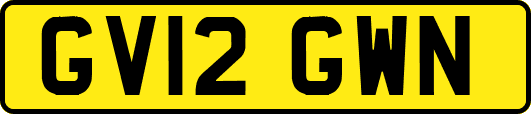 GV12GWN