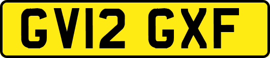 GV12GXF