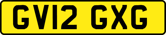 GV12GXG