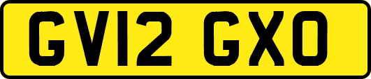 GV12GXO