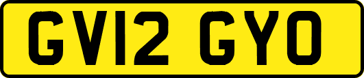 GV12GYO