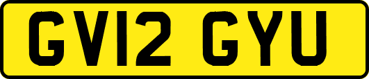 GV12GYU