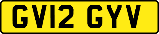 GV12GYV