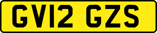 GV12GZS